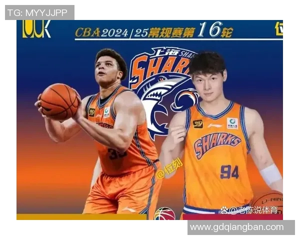 篮球全明星赛亚洲区冠军争夺战精彩回顾与未来展望